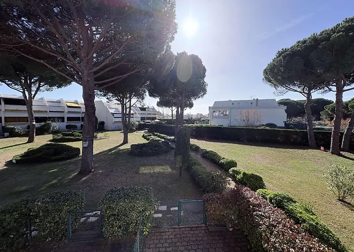 Avec Terrasse, Accès Rapide Et Parking Privé - Du Roi - Fr-1-250-179